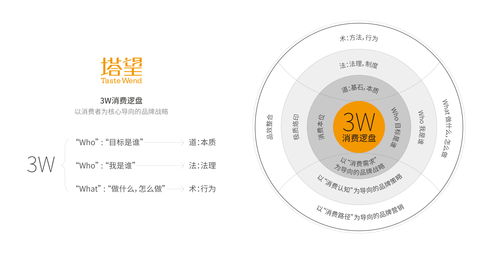 塔望品牌咨詢,專注食品行業(yè)的品牌全案策劃公司